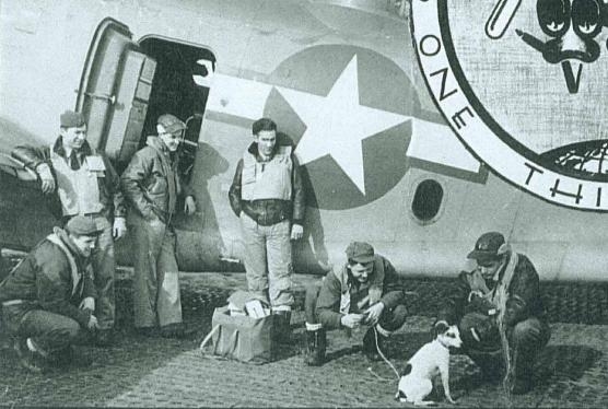 Crewmen playing with a dog in front of a plane