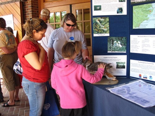 Discover North Carolina wildlife