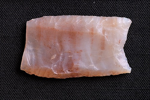 Folsom Point, Museum Collection, Petrified Forest National Park