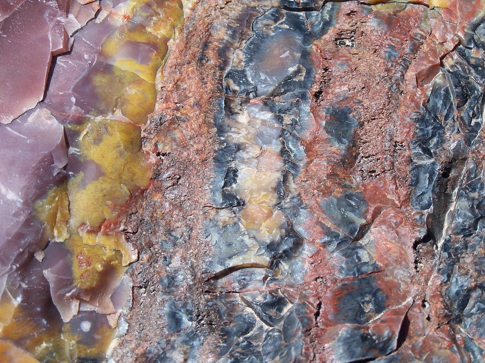 Close up of petrified wood, Petrified Forest National Park9