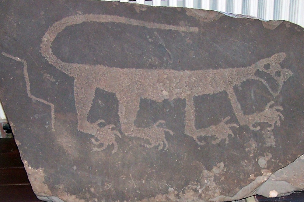 Mountain Lion Petroglyph, Painted Desert Inn National Historic Landmark, Petrified Forest National Park