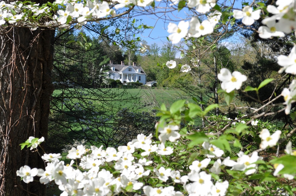 Connemara in the spring with Dogwoods in bloom.
