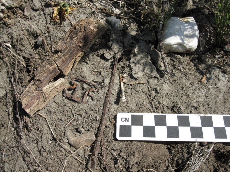 Miscellaneous artifacts found at Charley's Village in 2010.