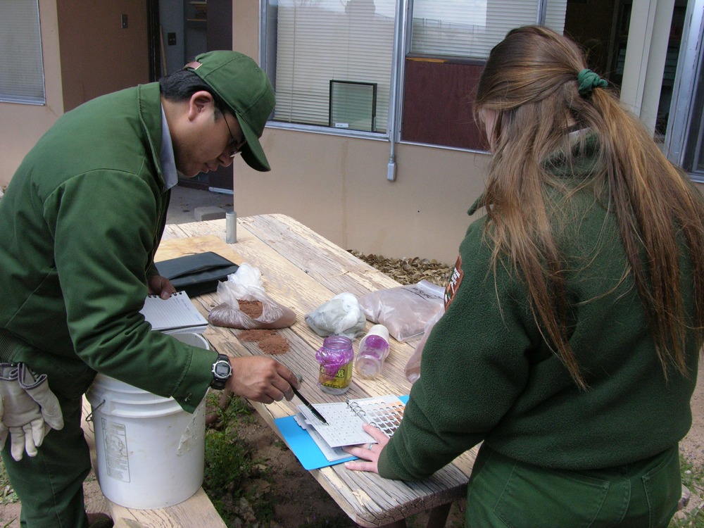 Vanishing Treasures Program, Petrified Forest National Park