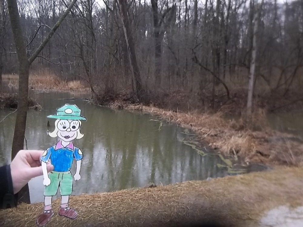 flat Isabel at the Beaver Dam