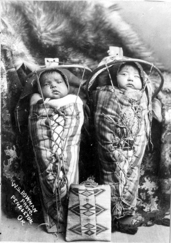 Cayuse babies in cradleboards