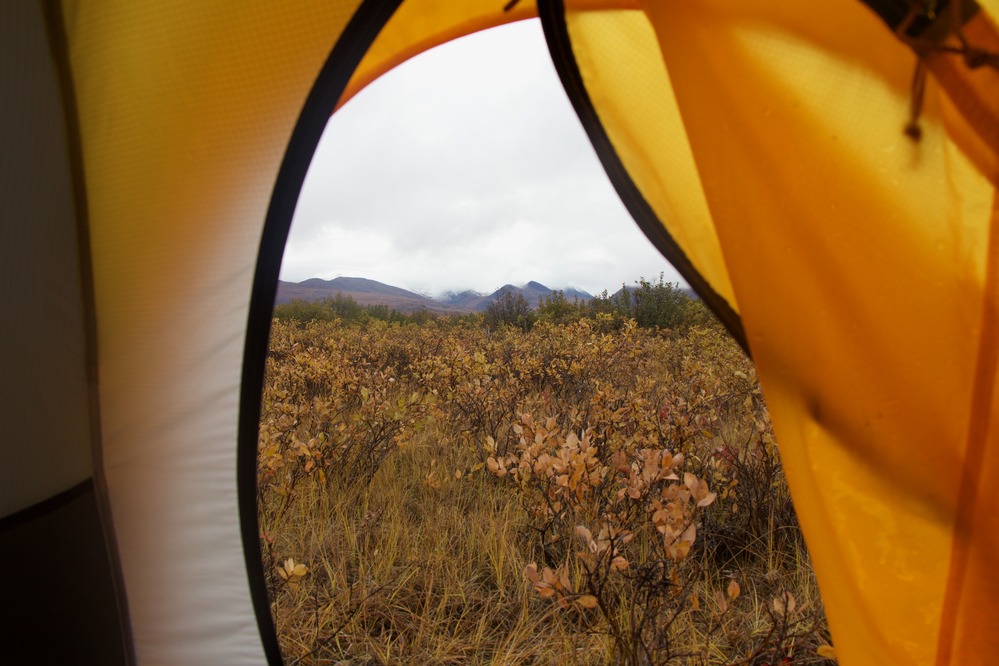 looking out at mountains and tundra from inside a yellow tent