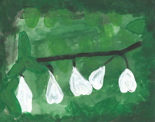 student artwork - Carolina Sliverbells