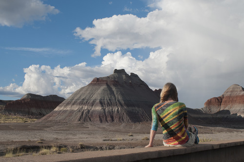 Faces of the Petrified Forest