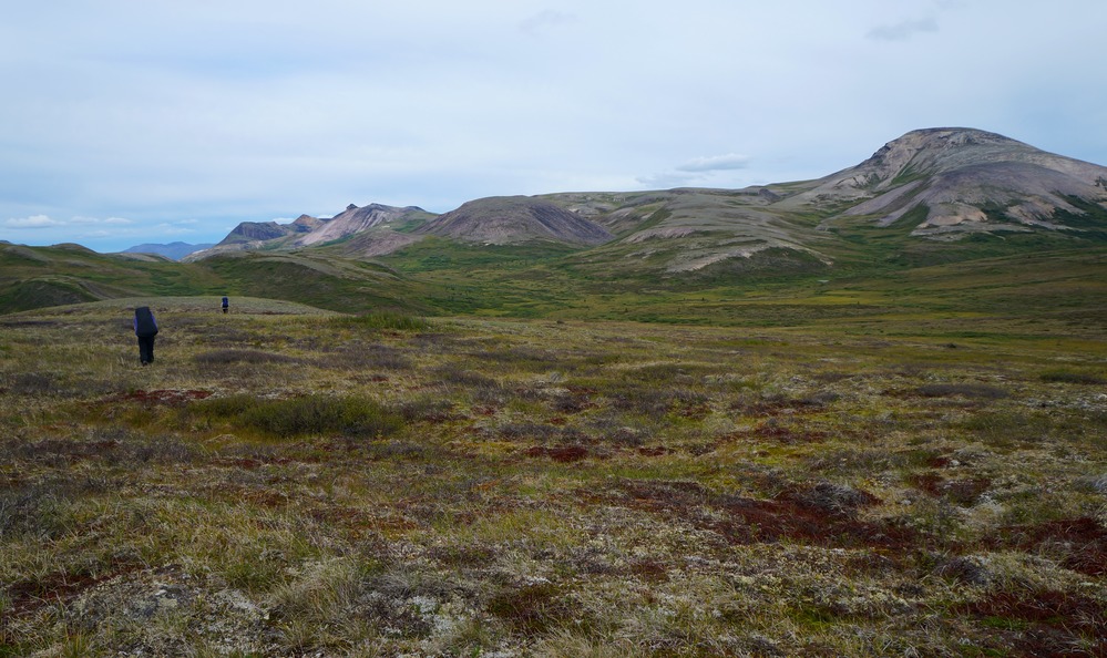 two people hiking across a meadow of ankle-high plants