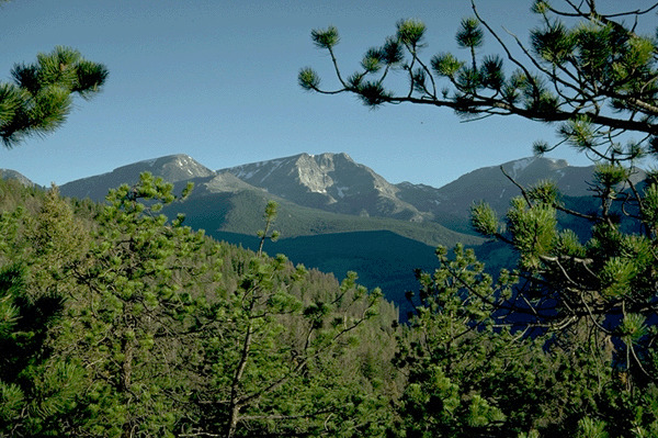 Lawn Lake Area, Ypsilon and Chiquita Mountains