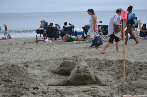 2013 Sand Sculpture Contest: Adult/Family Group Entry #01: Grumpy Catfish, by Lisa Hensley