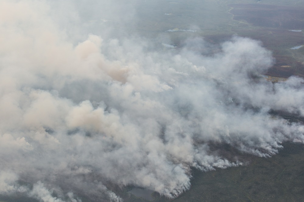 aerial view of a forest with huge plumes of smoke rising up
