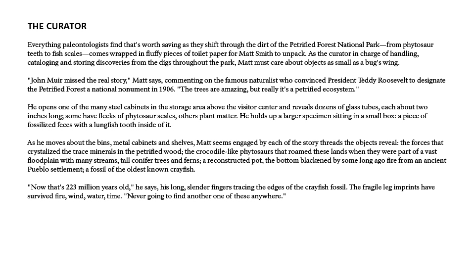 Faces of the Petrified Forest: The Curator