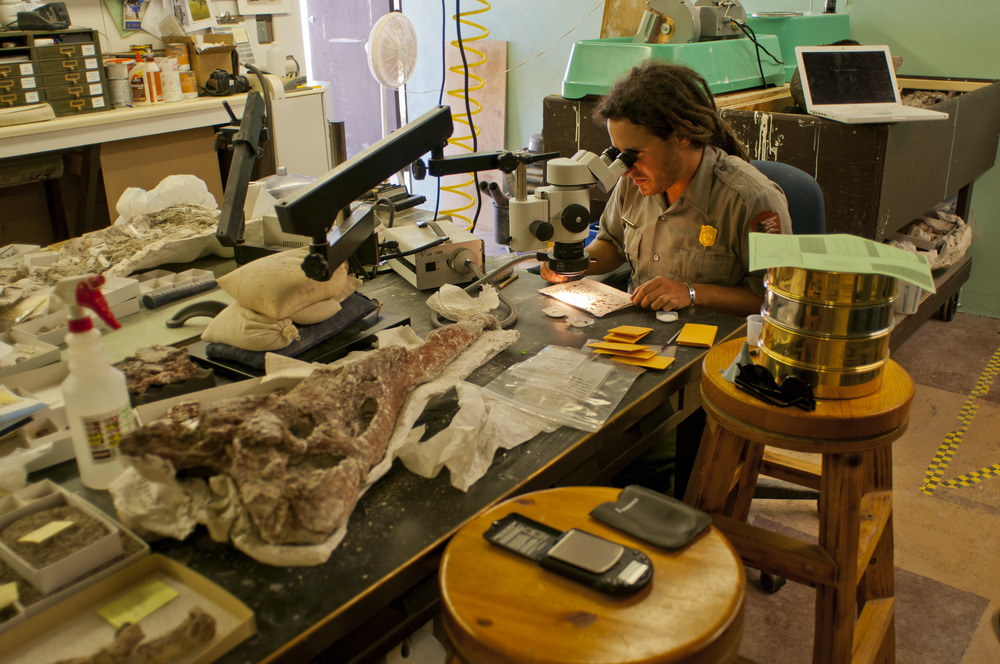 Faces of the Petrified Forest