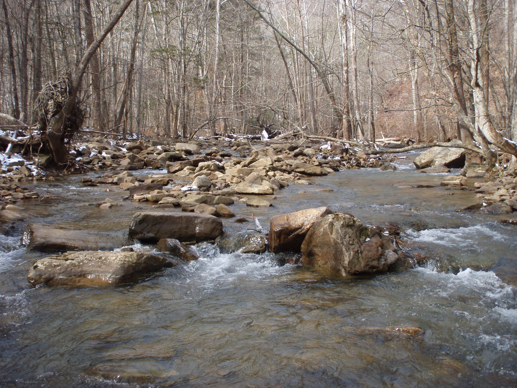 Site visit photo showing the upstream (UP) or downstream (DN) view of a wadeable stream reach taken during benthic macroinvertebrate monitoring at Bluestone National Scenic River.