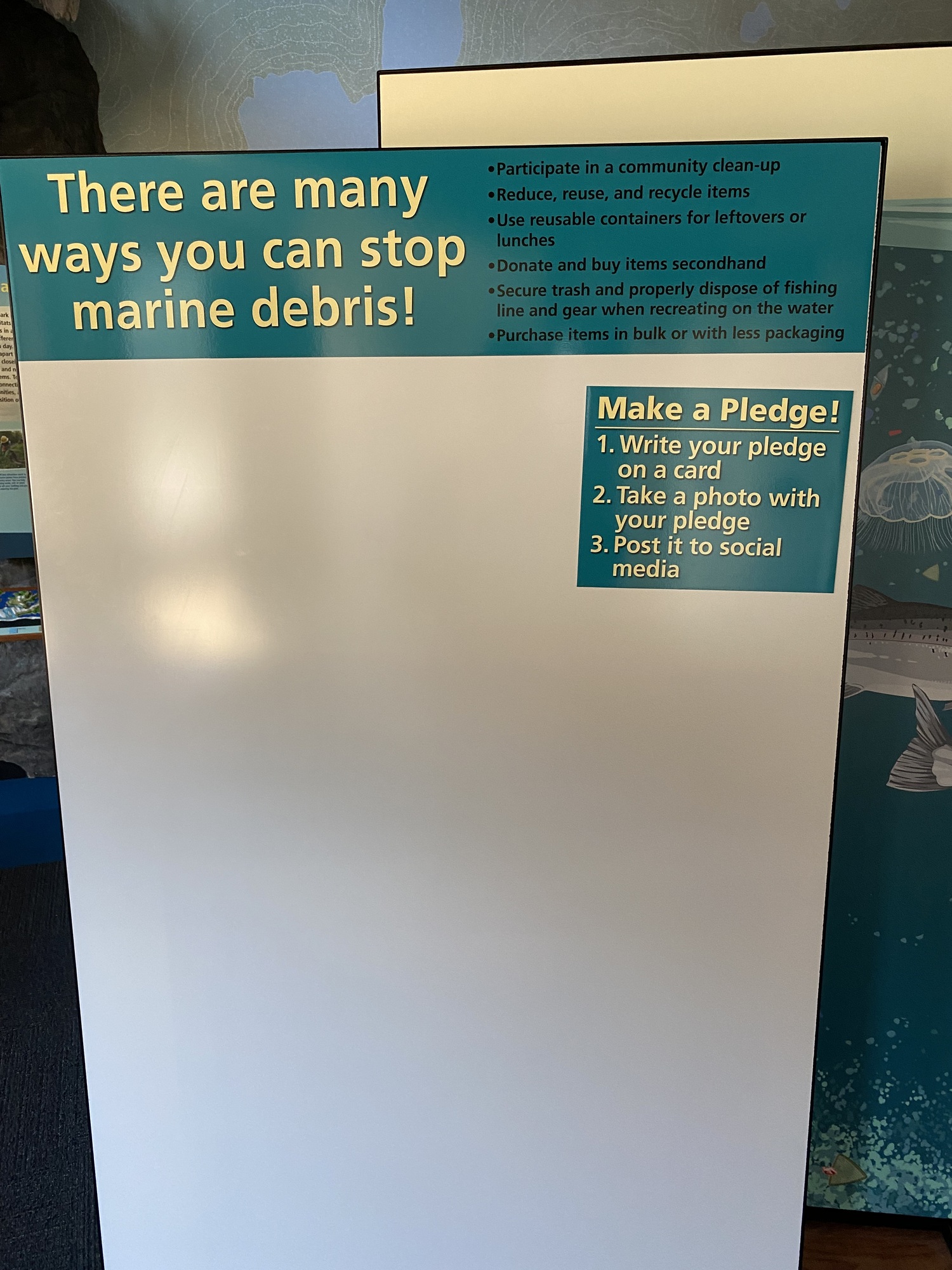 A white board with a photo of marine debris and text about how you can stop marine debris. Full text available in the description.