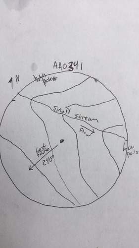 GRSM Accuracy Assessment. Plot Code: GRSM_AA_0341_map