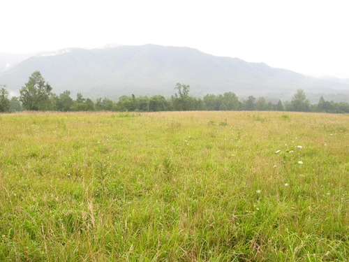 GRSM Accuracy Assessment. Plot Code: GRSM_AA_0863_4