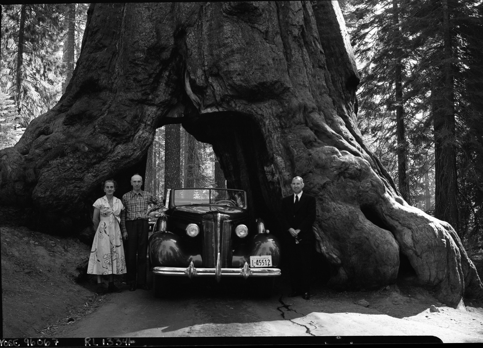 Mr. & Mrs. Ralph Assheton and their chauffeur, Gilbert at the Wawona Tunnel Tree. Mr. Assheton is a Member of the British Parliament, a close friend of Winston Churchill, and a member of the Privy Council.
