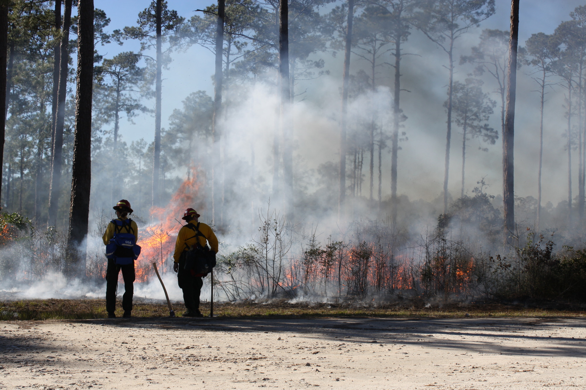 Two firefighters are silhouetted against the flames and smoke of a controlled burn in a pine forest
