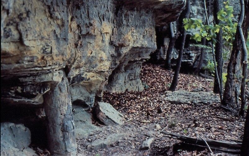 gray and tan rock at left with trees at right