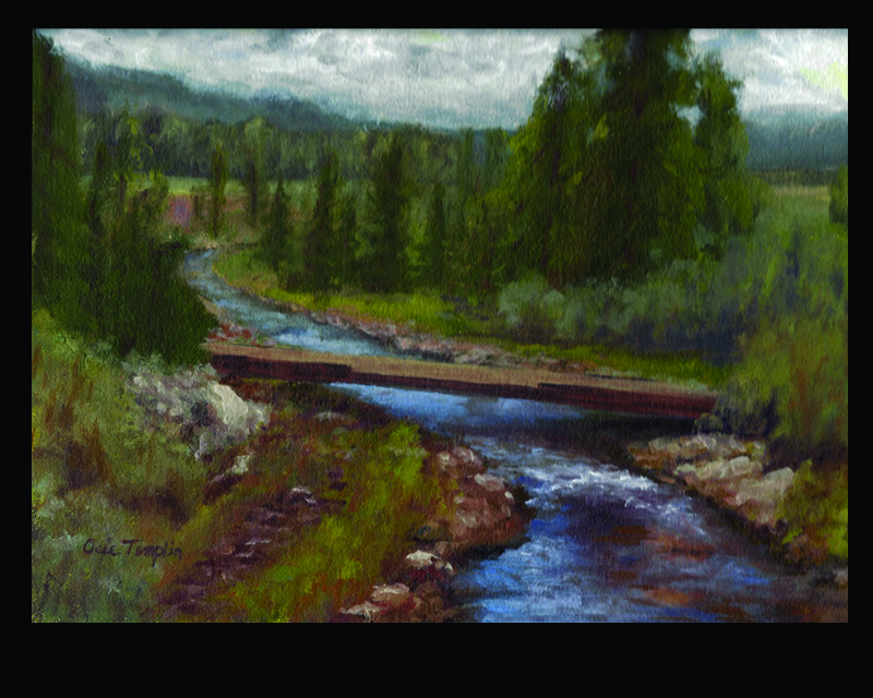 Landscape of river flowing under a log towards trees in a field toward the horizon of blue ridges and gray clouds.