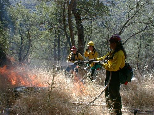 Prescribed burn using drip torch ignition at Ash Mountain Headquarters, Sequoia and Kings Canyon National Parks, May 2004