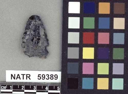 NATR   59389 -- Untyped projectile point