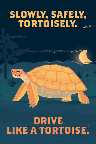 A tortoise with a desert background