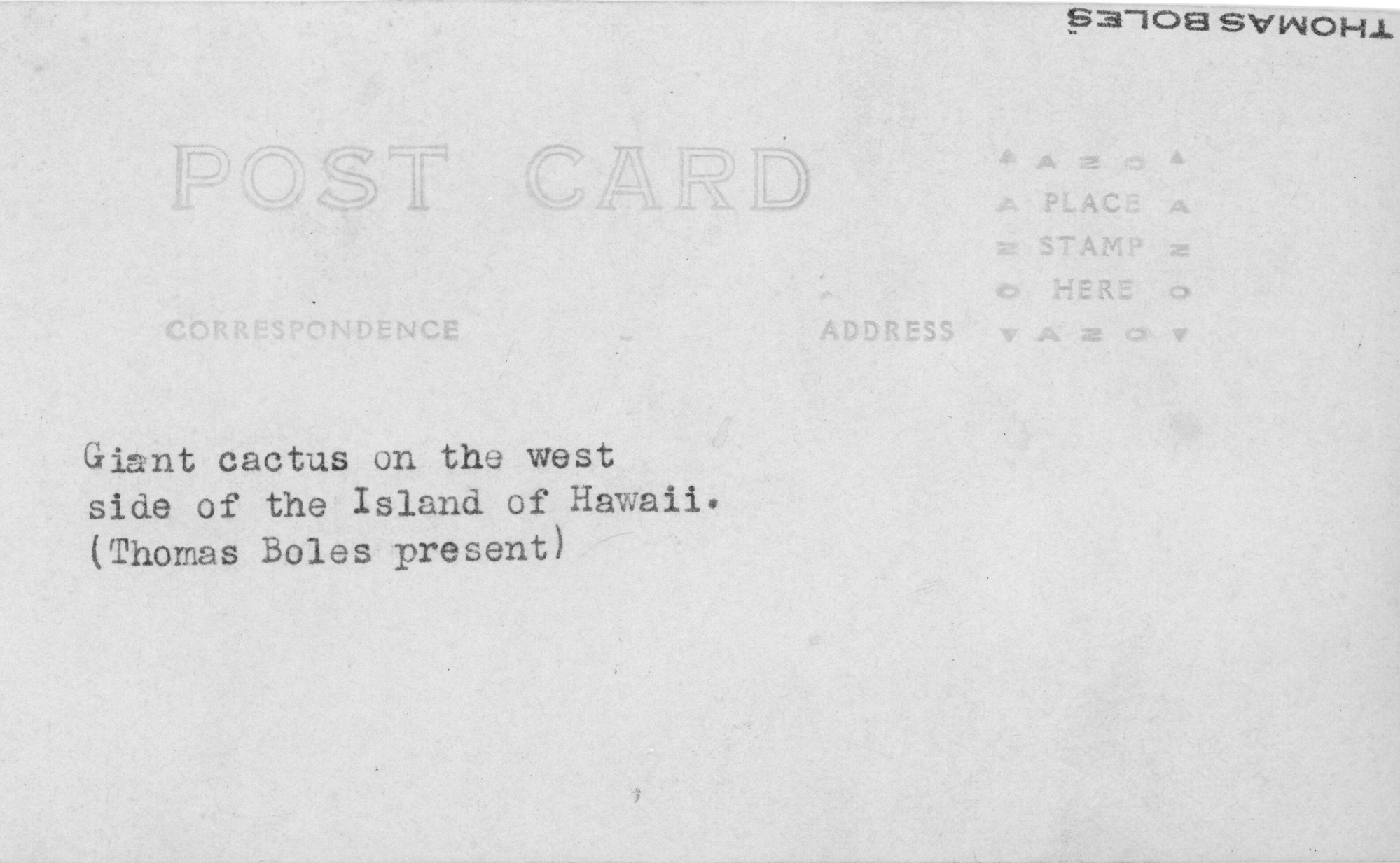 Reverse side of a postcard, stamped writing reads "Post card," "Correspondence," and "Address." Stamp placement area in top right corner. Typed notes about the reverse image on the lefthand side read, "Giant cactus on the west side of the Island of Hawaii. (Thomas Boles present)." "Thomas Boles" is stamped upside-down at the top right corner.