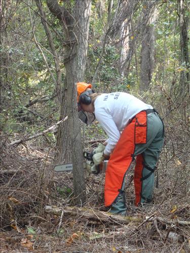 Control Invasive Plants with Student Conservation Corp Team (SCA) along the Blue Ridge Parkway August 2009.