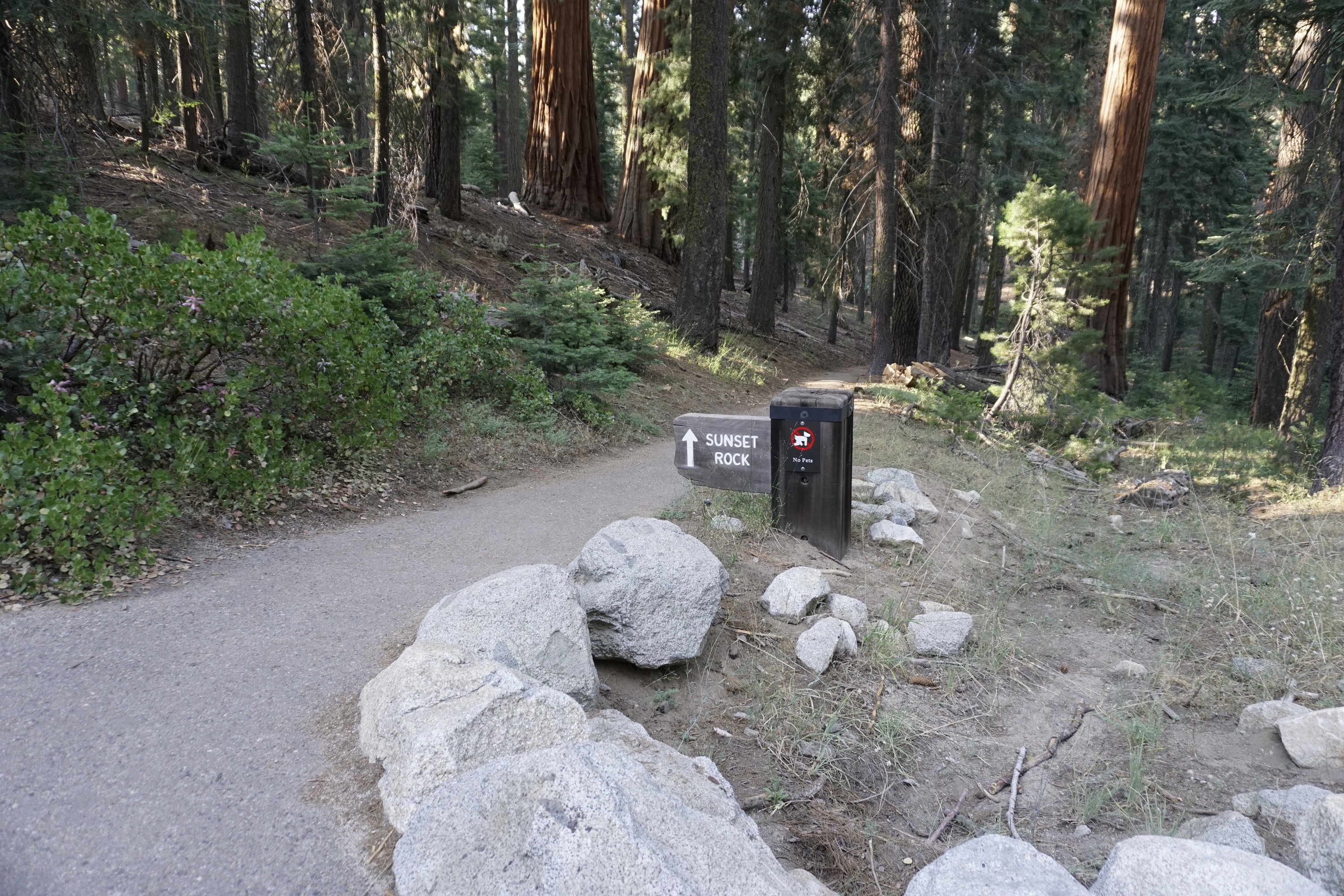An asphalt path leads into a grove of trees. 