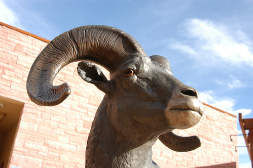 a bronze sculpture of a bighorn sheep ram with curling horns