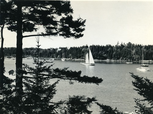 SAILBOAT -2 MASTS - WITH TREE ON LEFT