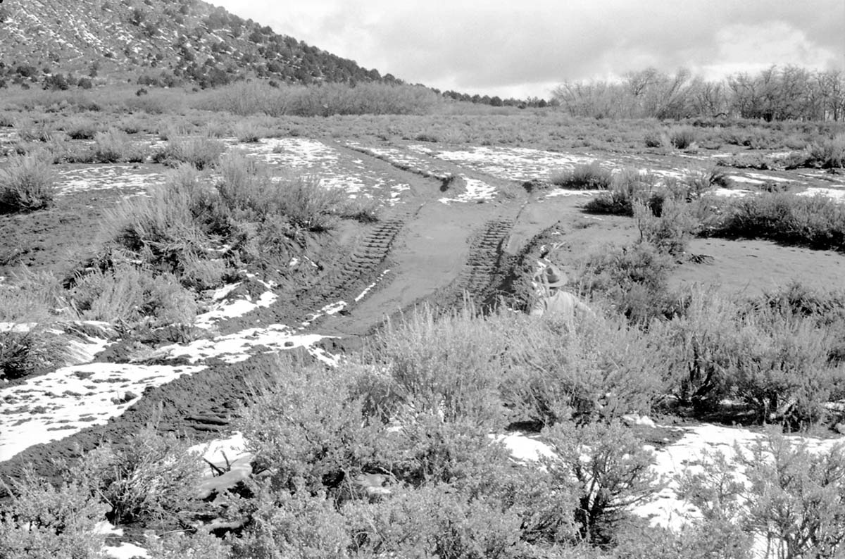 BW photo of the 1937 grazing study 35MM. Photo of road in Lee Valley.