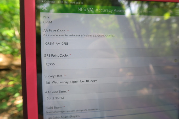 GRSM Accuracy Assessment. Plot Code: GRSM_AA_0955_1
