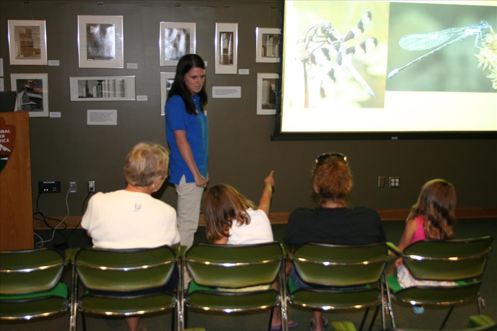 A SCA intern is giving a PowerPoint program about insects to a group of people of various ages.