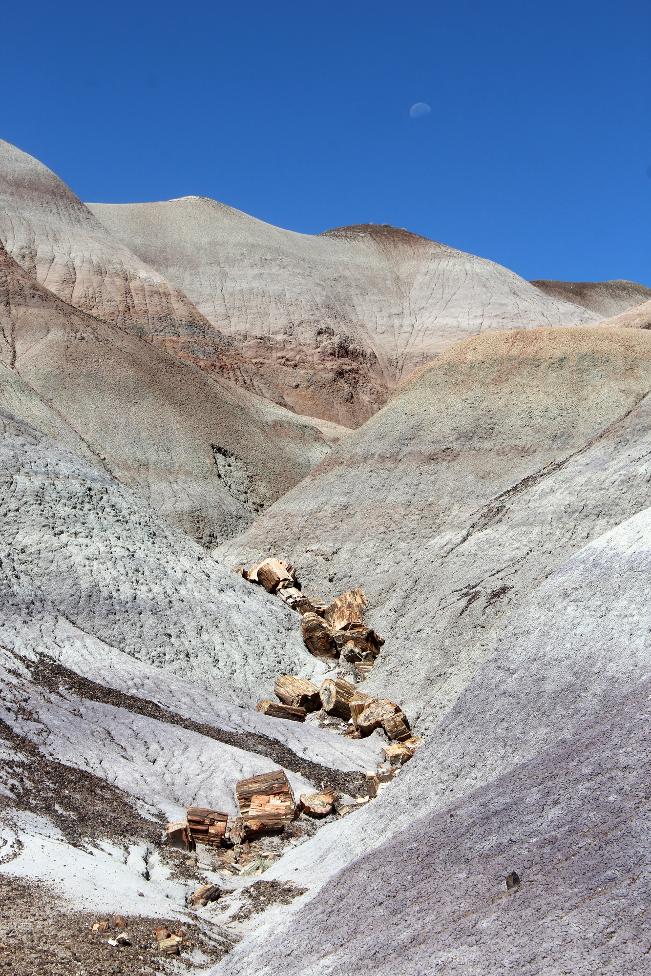 Moon setting behind the badlands at Blue Mesa