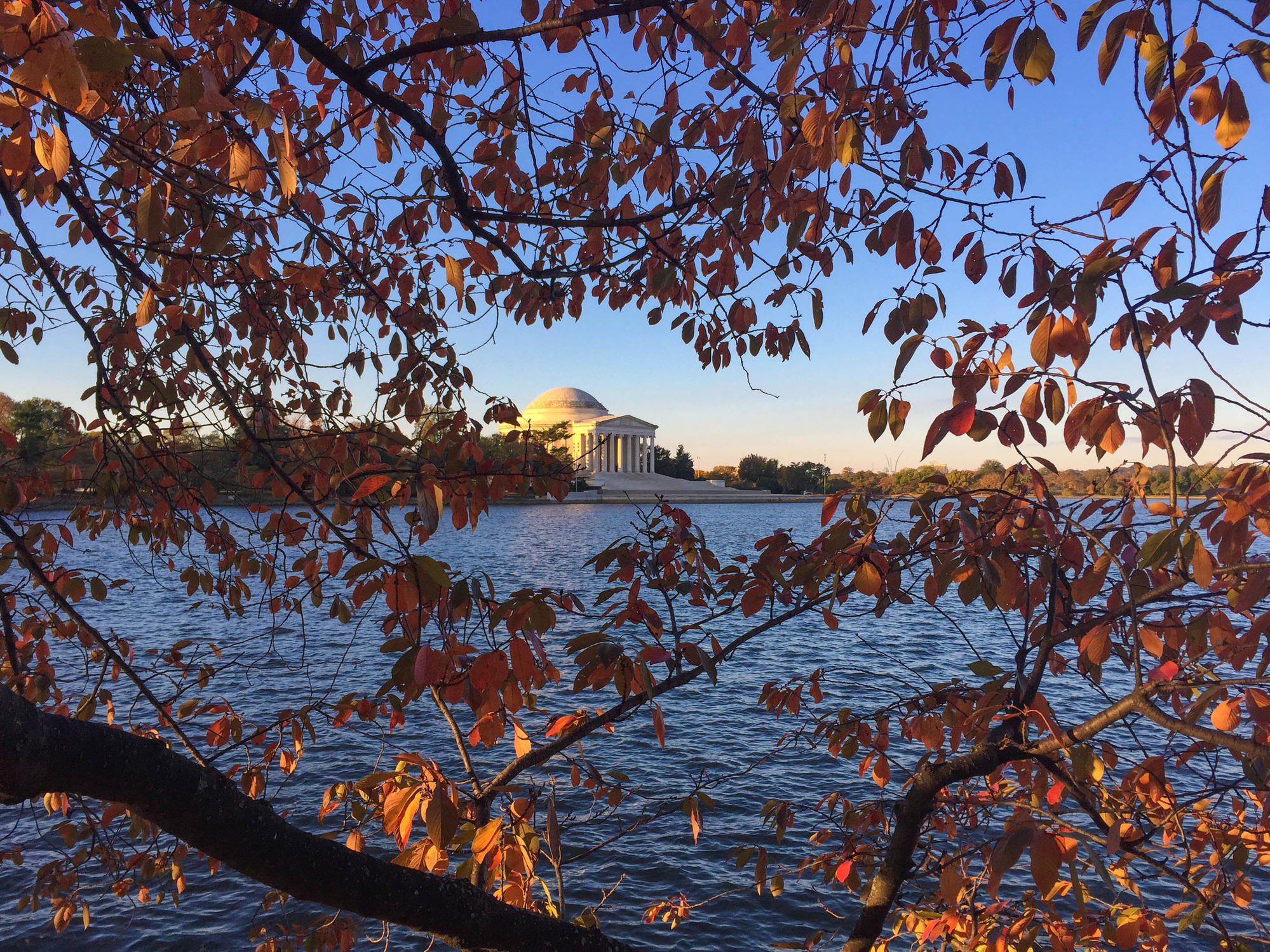 Thomas Jefferson Memorial across the Tidal Basin through red leaves on branches