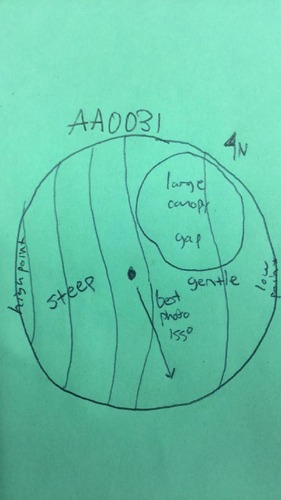 GRSM Accuracy Assessment. Plot Code: GRSM_AA_0031_map