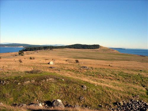 American Camp prairie