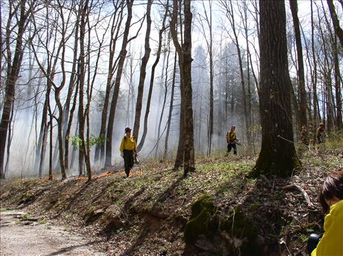 Jim Lee Prescribed burn, Mammoth Cave National Park, 2004