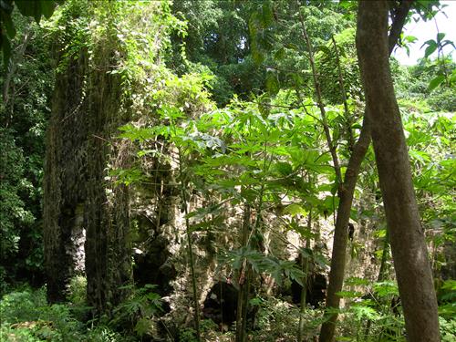 Trunk Bay Factory Ruin, Virgin Islands National Park