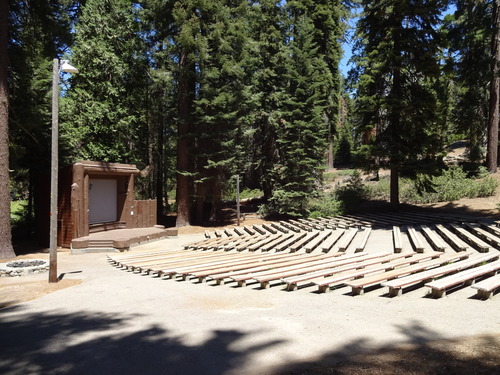 A large amphitheater, surrounded by pines with a stage and wood benches.