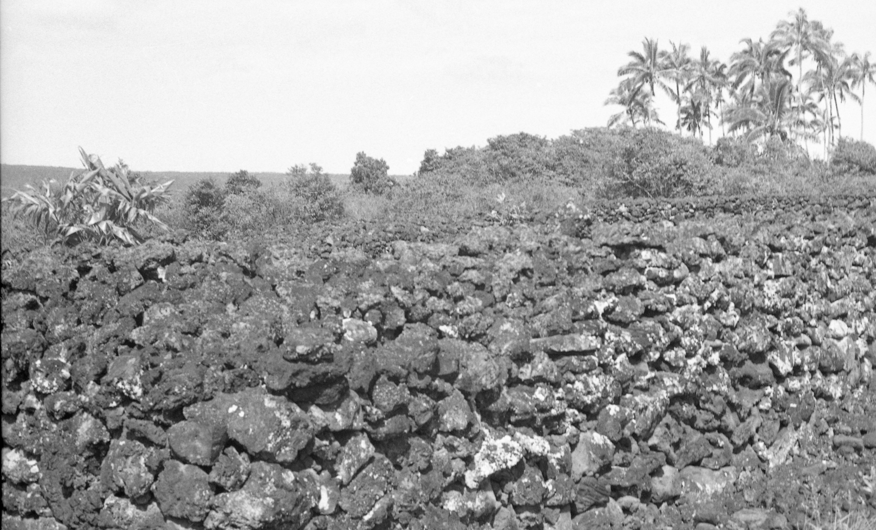 A black and white close-up image of a lava rock wall. The lava rock wall takes up three fourths of the image. The individual lava rocks of various shapes and sizes that are stacked to create the wall are easily visible. In the background there are various trees, a mountain, and another lava rock wall out of focus. This wall is in the top left side of the image.