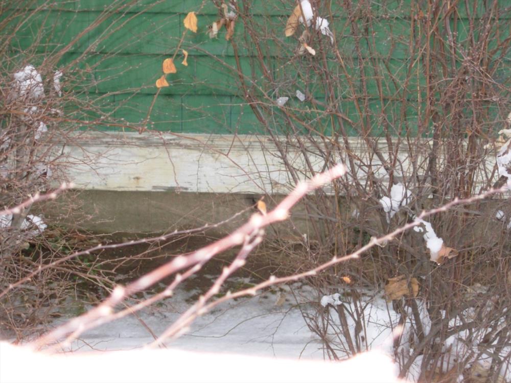 George Wallace House Foundation and Front Porch Cracks Harry S Truman NHS. These photos were taken to use as part of a PMIS request for funds to have the foundation and front porch replaced. 