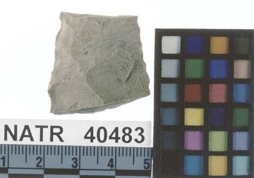 NATR   40483 -- Untyped projectile point