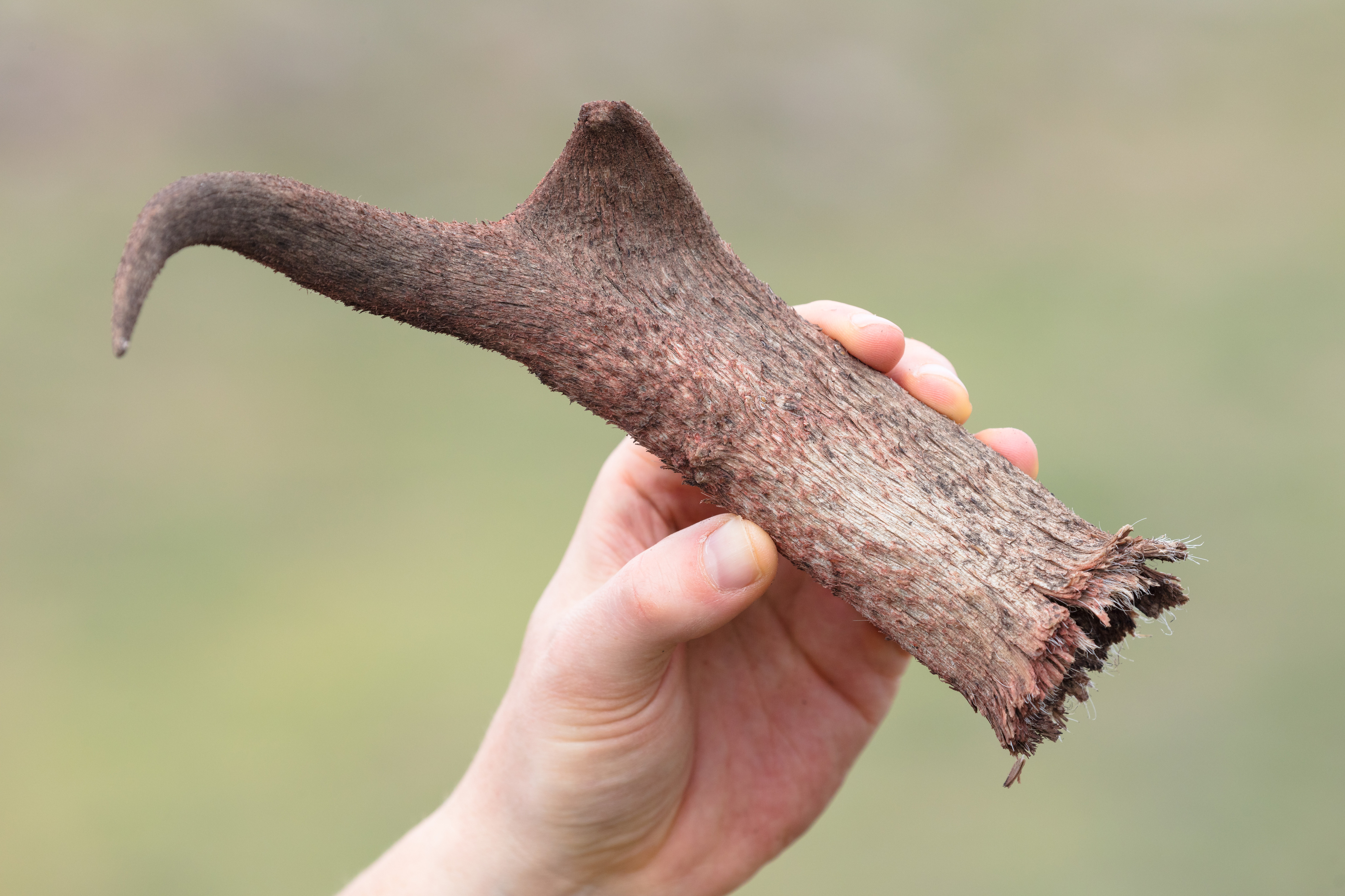 A person is holding the shed in his/her hand.