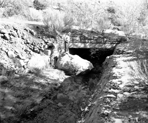 Rock fall in Birch Creek Canyon. Image shows trees which were uprooted by air concussion, caused by the huge mass of rock and dirt when it impacted the earth.